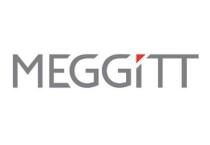 Meggitt Meggitt